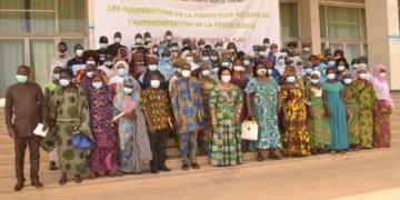 Togo: le karité pour sortir de la pauvreté en milieu rural