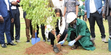 La journée de l’arbre commémorée par l’Assemblée Nationale