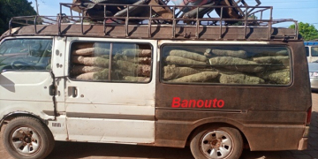 Menace terroriste au Bénin: chemin de croix des commerçants et transporteurs de Matéri et Tanguiéta
