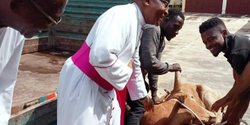 Fête de Tabaski : l&rsquo;Union Musulmane offre un bœuf à l&rsquo;Archevêque de Lomé