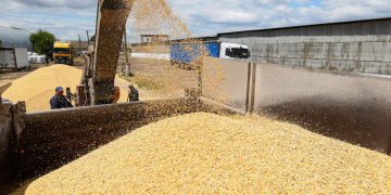 La Russie suspend l’accord sur l’exportation des céréales ukrainiennes, la crainte d’une nouvelle hausse des prix et de l’insécurité alimentaire