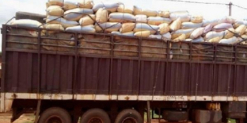 Exportations illicites des produits vivriers : l&rsquo;ANSAT annonce une opération de rétrocession
