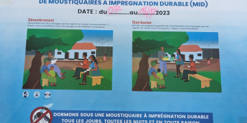 Lutte contre le paludisme : une campagne de distribution de moustiquaires annoncée