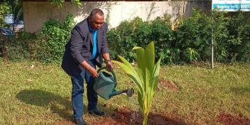 Togo- Journée de l&rsquo;arbre 2024: tradition respectée à la Togolaise des Eaux