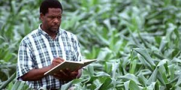 Le 5è Recensement national de l’agriculture lancé