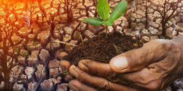 Lomé accueille un séminaire parlementaire sur le changement climatique
