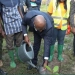 Fact-check : le Togo peut-il réellement atteindre un milliard d’arbres d’ici à 2030 ?