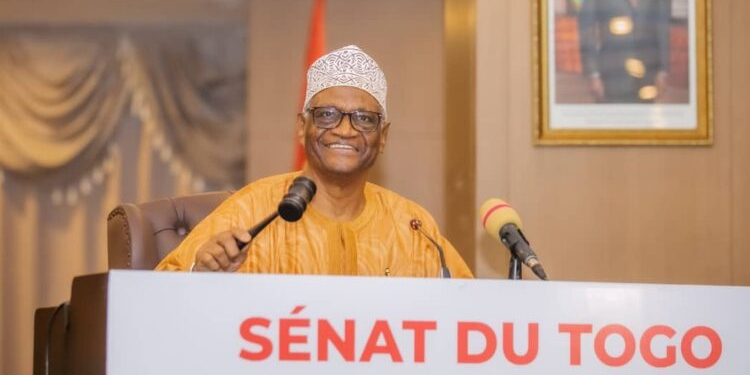 Le Sénat valide deux textes stratégiques pour sécuriser l’espace maritime togolais