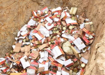 Togo : plus de 16 tonnes de produits périmés et illicites détruites