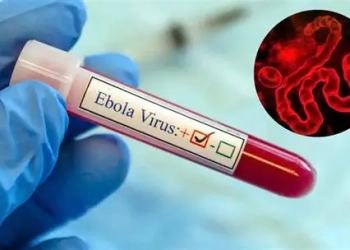 Ebola : la souche Bundibugyo, un défi pour la riposte sanitaire en Afrique