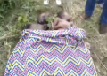 Exploitation illégale du sable : deux enfants meurent noyés à Vo Attivé
