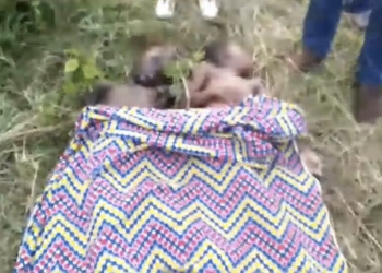 Exploitation illégale du sable : deux enfants meurent noyés à Vo Attivé