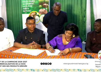 Karité : le Togo fixe à 300 FCFA/kg le prix plancher pour la campagne 2026-2027