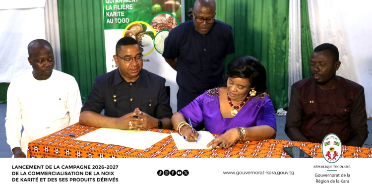 Karité : le Togo fixe à 300 FCFA/kg le prix plancher pour la campagne 2026-2027